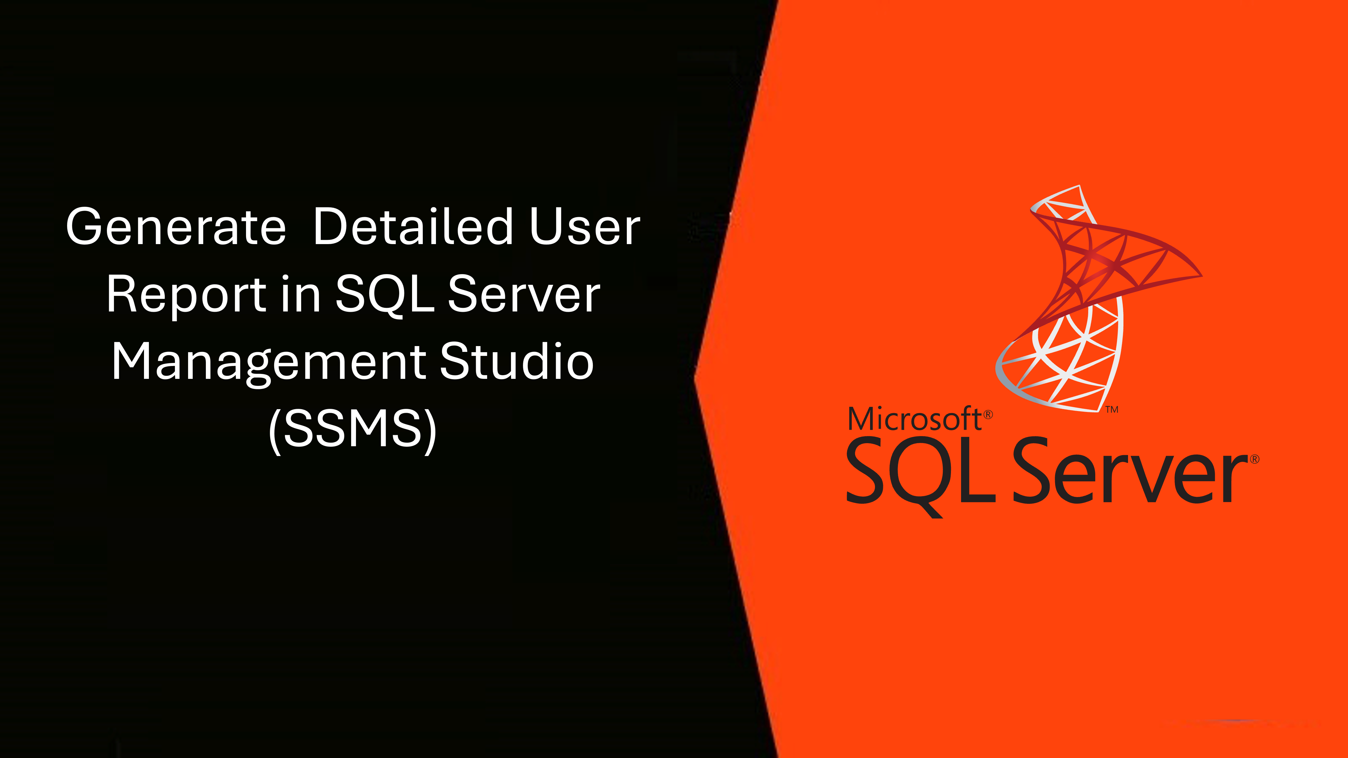 Generate a Detailed User Report in SQL Server Management Studio (SSMS)