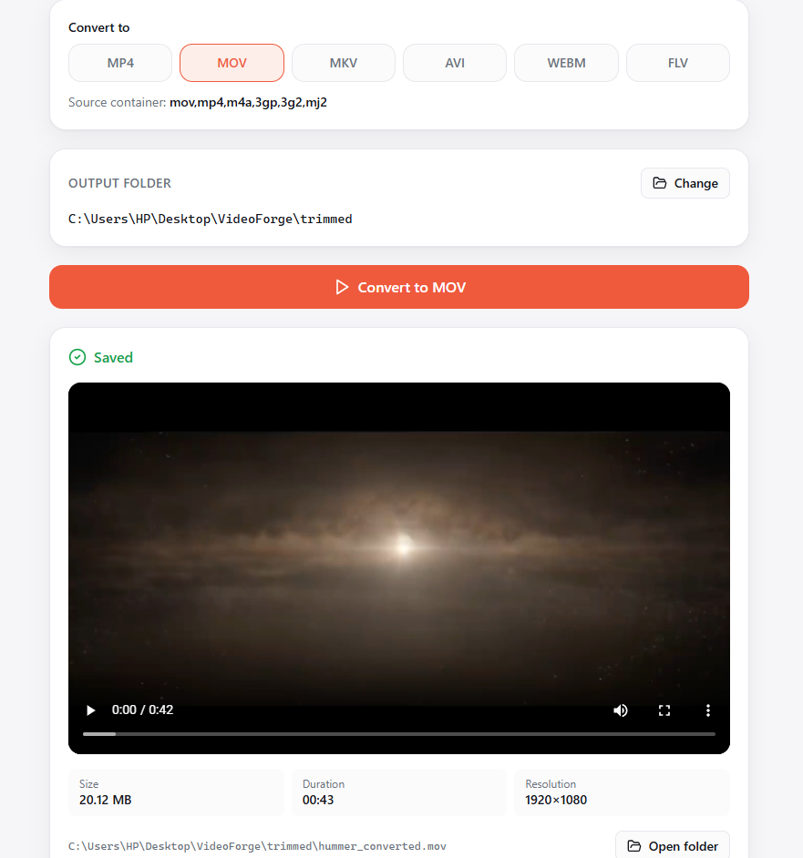 Video Forge screenshot 2