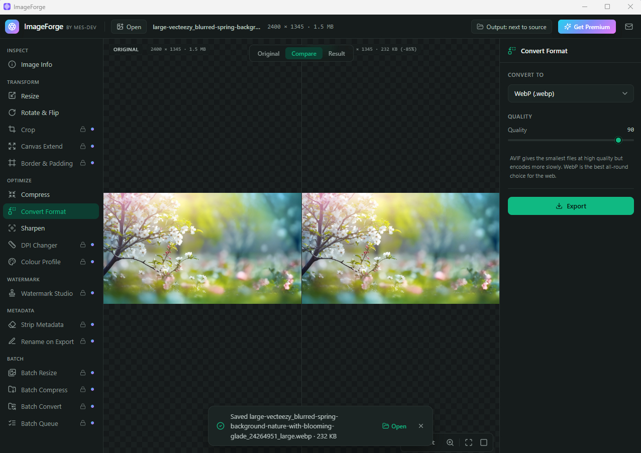 Image Forge screenshot 3